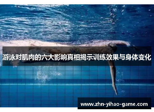 游泳对肌肉的六大影响真相揭示训练效果与身体变化