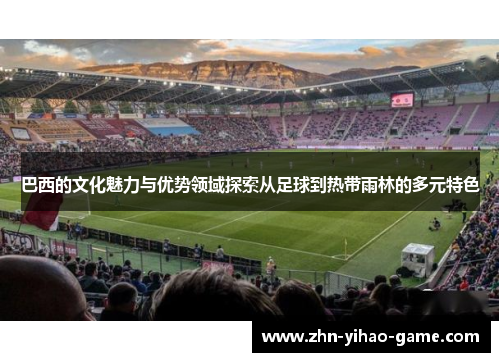 巴西的文化魅力与优势领域探索从足球到热带雨林的多元特色